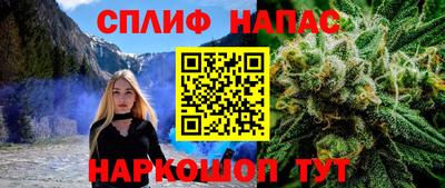 гидропоника Гатчина