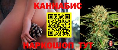 гидропоника Гатчина