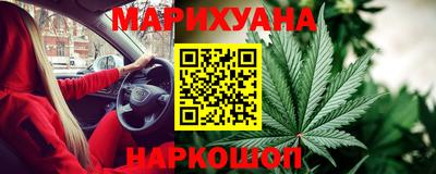 гидропоника Гатчина