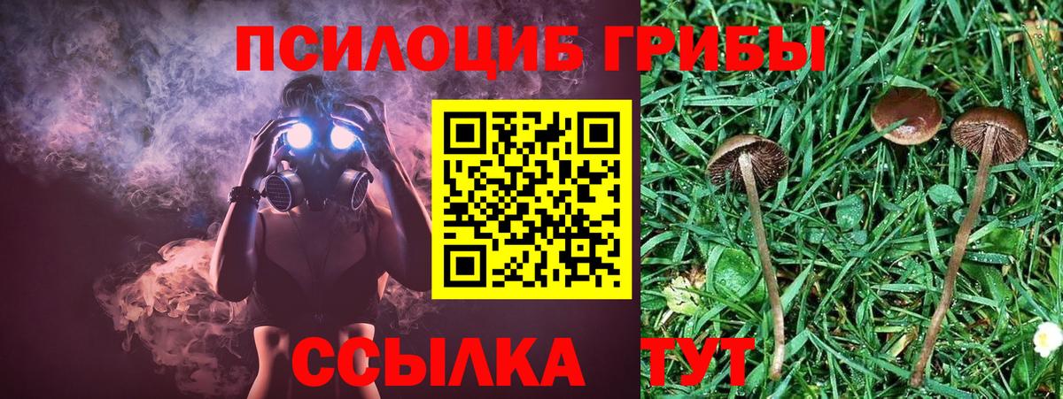 Галлюциногенные грибы ЛСД  Галлюциногенные грибы прущие грибы  Вход с VPN  Менделеевск 